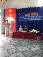 Báo cáo thanh tra NDTH 2016-2017